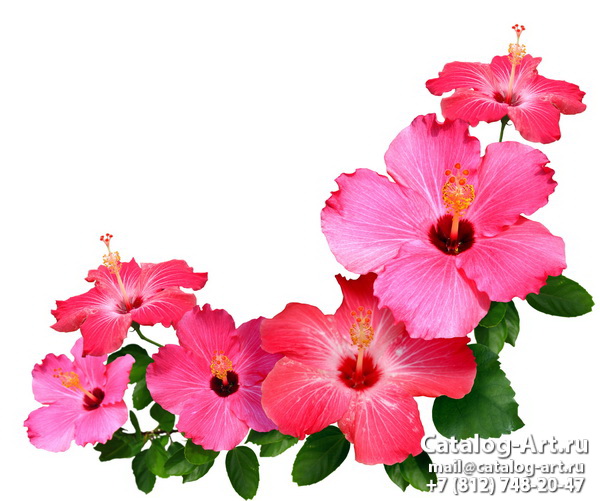 Pink flowers 16